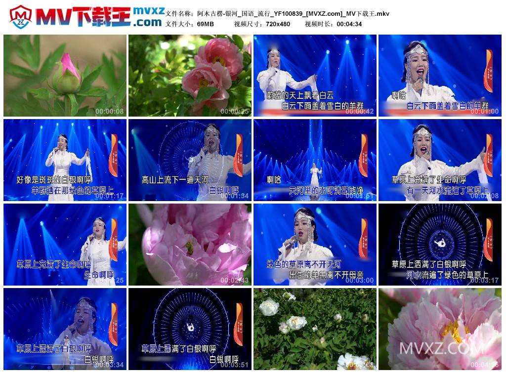 阿木古楞-银河_国语_流行_YF100839